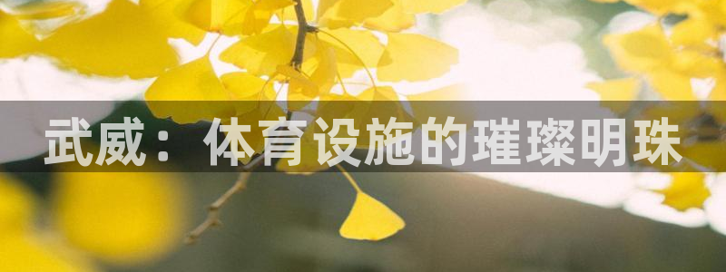 意昂5(KGAME)娱乐40996：武威：体育设施的