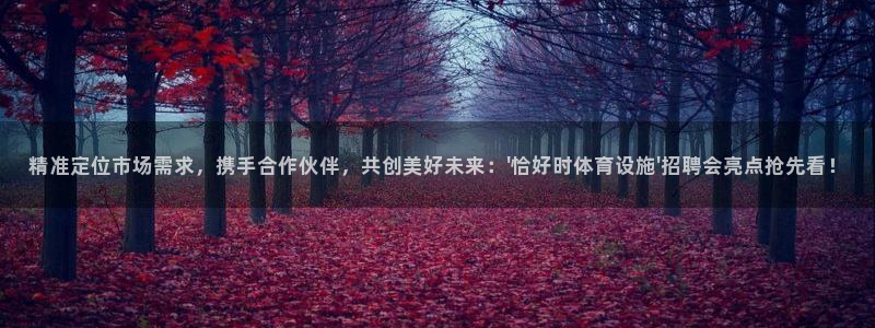 意昂5(KGAME)神州：精准定位市场需求，携手合作伙伴，共