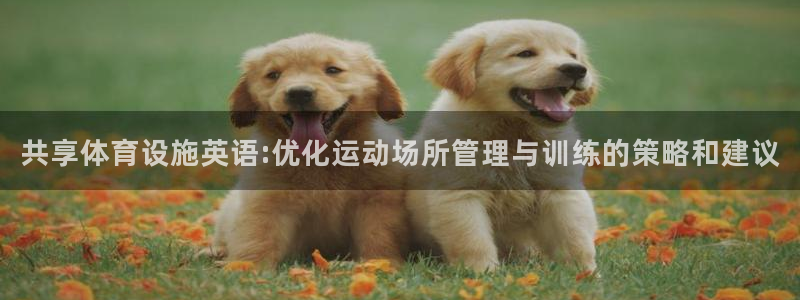 意昂5(KGAME)官网：共享体育设施英语:优化运动场所管理