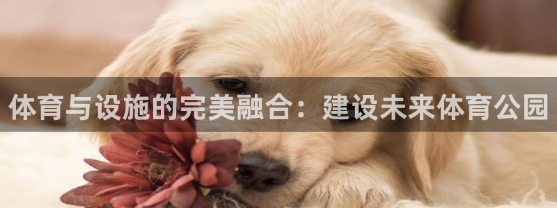 意昂5(KGAME)体育招商电话号码是多少啊：体育与设施的完