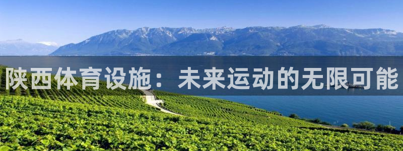 意昂5(KGAME)体育招商：陕西体育设施：未来运动的无限可