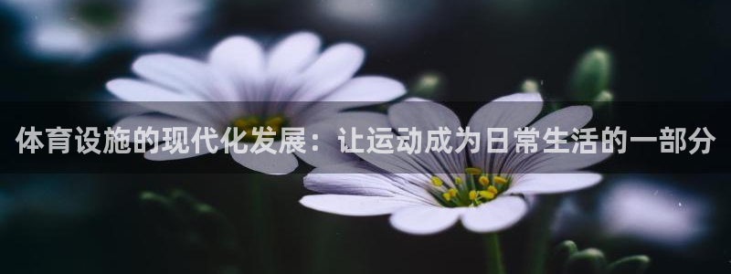 意昂5(KGAME)体育平台假的吗是真的吗吗：体育设施的现代