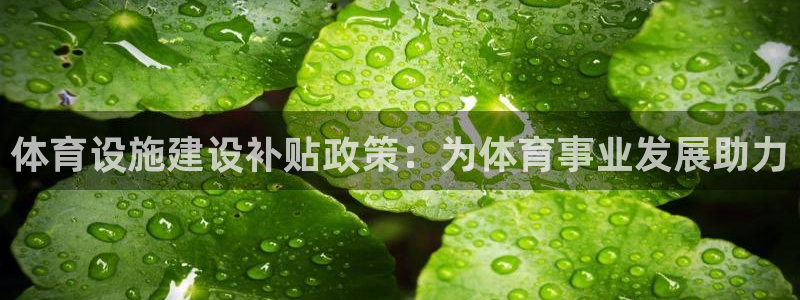 意昂5(KGAME)体育招商电话是多少号码：体育设施建设补贴