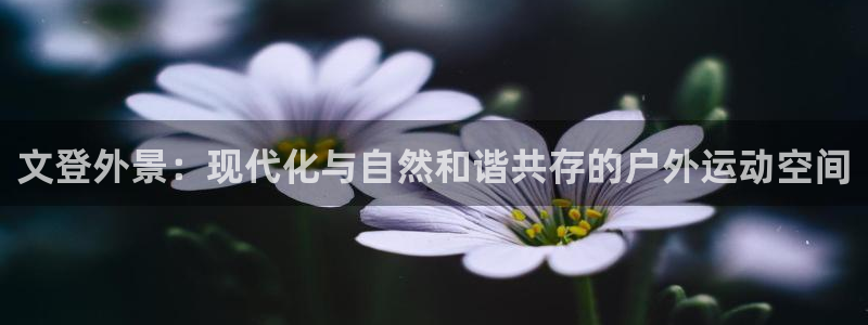 意昂5(KGAME)娱乐下载：文登外景：现代化与自然和谐共存 
