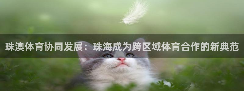 意昂5(KGAME)体育平台注册要钱吗安全吗:珠澳体育协同发