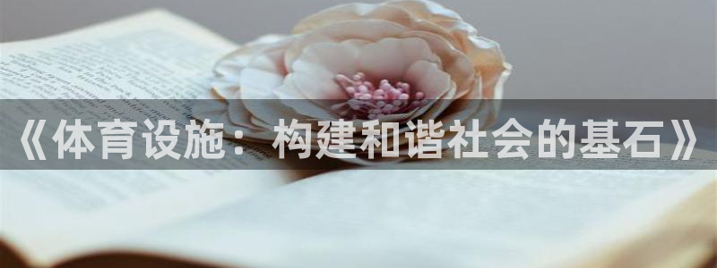 意昂5(KGAME)娱乐是那个系列的台子:《体育设施:构建和