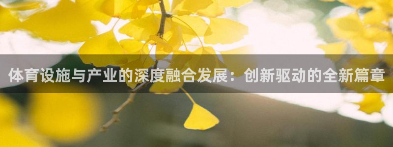 意昂5(KGAME)娱乐网站：体育设施与产业的深度融合发展：