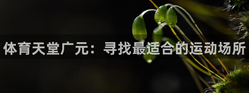 意昂5(KGAME)体育招商电话号码是多少：体育天堂广元：寻