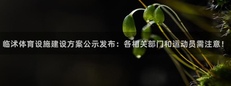 意昂5(KGAME)娱乐首页官网下载：临沭体育设施建