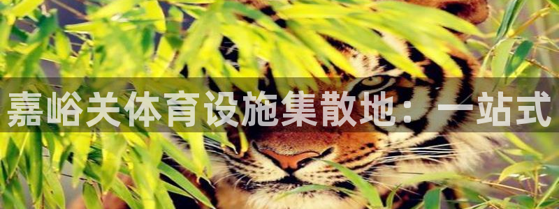 意昂5(KGAME)体育平台注册流程图：嘉峪关体育设施集散地